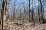 Lot 1 Fairfax Mine Road - Photo 26
