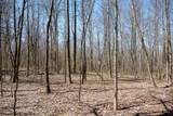 Lot 1 Fairfax Mine Road - Photo 27