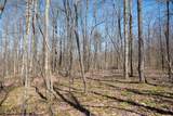 Lot 1 Fairfax Mine Road - Photo 29