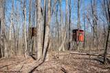 Lot 1 Fairfax Mine Road - Photo 30