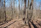 Lot 1 Fairfax Mine Road - Photo 31