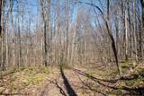 Lot 1 Fairfax Mine Road - Photo 33