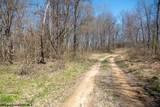 Lot 1 Fairfax Mine Road - Photo 4