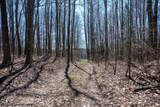 Lot 1 Fairfax Mine Road - Photo 40
