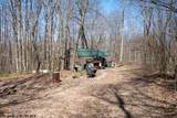 Lot 1 Fairfax Mine Road - Photo 41