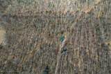 Lot 1 Fairfax Mine Road - Photo 44