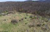 Lot 1 Fairfax Mine Road - Photo 47
