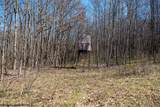 Lot 1 Fairfax Mine Road - Photo 5