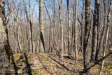Lot 1 Fairfax Mine Road - Photo 7