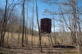 Lot 1 Fairfax Mine Road - Photo 8
