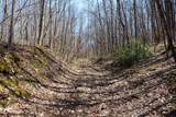 Lot 1 Fairfax Mine Road - Photo 9