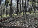 TBD Palmer Drive - Photo 10