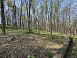 TBD Palmer Drive - Photo 11