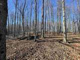 TBD Palmer Drive - Photo 13