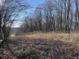 TBD Palmer Drive - Photo 14