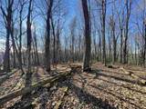 TBD Palmer Drive - Photo 16