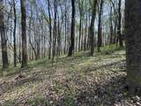 TBD Palmer Drive - Photo 4