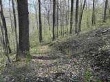 TBD Palmer Drive - Photo 5