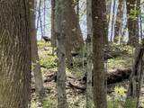 TBD Palmer Drive - Photo 7