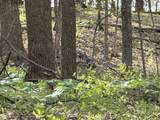 TBD Palmer Drive - Photo 9
