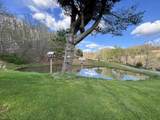 1021 Clover Run Road - Photo 17