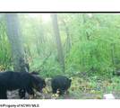 720 Fairview Road - Photo 36