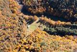 7242 Files Creek Road - Photo 16