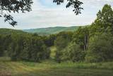 7242 Files Creek Road - Photo 8