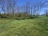 100 Miller Farm Lane - Photo 4