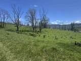 100 Miller Farm Lane - Photo 7