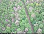634 Joe Gibson Road - Photo 45