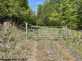 634 Joe Gibson Road - Photo 47