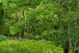 Lot 1 Opekiska Road - Photo 32