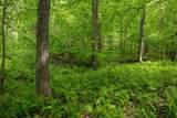 Lot 1 Opekiska Road - Photo 36