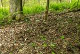 Lot 1 Opekiska Road - Photo 44