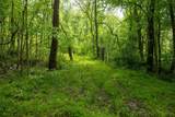 Lot 1 Opekiska Road - Photo 45