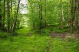Lot 1 Opekiska Road - Photo 5