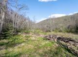 Lot 1 Squires Run Road - Photo 1