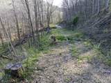 Lot 1 Squires Run Road - Photo 11