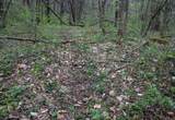 Lot 1 Squires Run Road - Photo 14