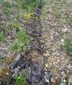 Lot 1 Squires Run Road - Photo 17