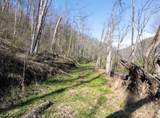 Lot 1 Squires Run Road - Photo 9