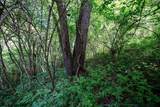 Lot 1 Hecks Run - Photo 16