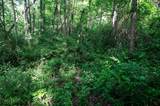 Lot 1 Hecks Run - Photo 17