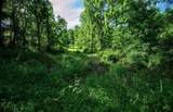 Lot 1 Hecks Run - Photo 26