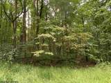 TBD Helens Run Road - Photo 13