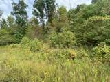 TBD Helens Run Road - Photo 6