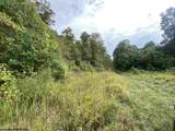 TBD Helens Run Road - Photo 8