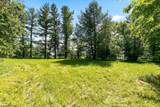 0 Robert Stone Highway - Photo 36