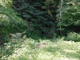 TBD Independence Road - Photo 1